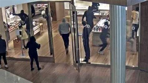 louis vuitton robbery